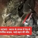 SINGRAULI NEWS : कटरा के जंगल में पेड़ से टकरायी अनियंत्रित बाइक, भाई बहन की मौत
