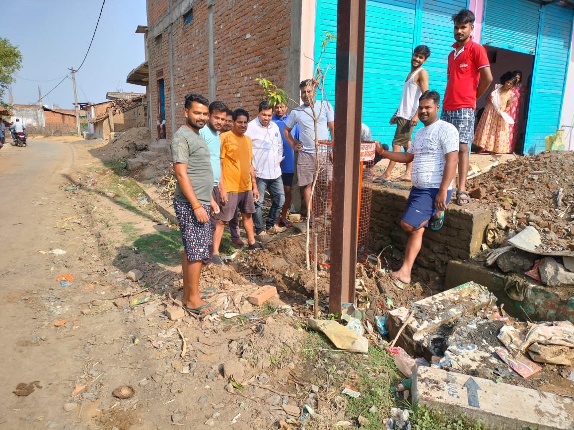 बेल तिराहा के नाम को बरकरार रखने भैरव समिति के द्वारा किया गया पौधरोपण